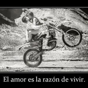 Meet your Posher, Alexander